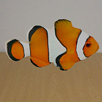 Trop_Fish_12_th